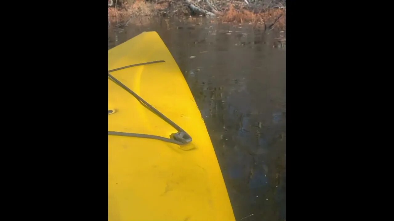 Put my kayak in the pond because I wanted to break the thin ice and catch some fish.....😂💪🏻