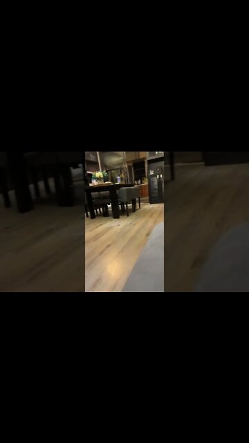 Puppies Running, You Can Watch This All Day