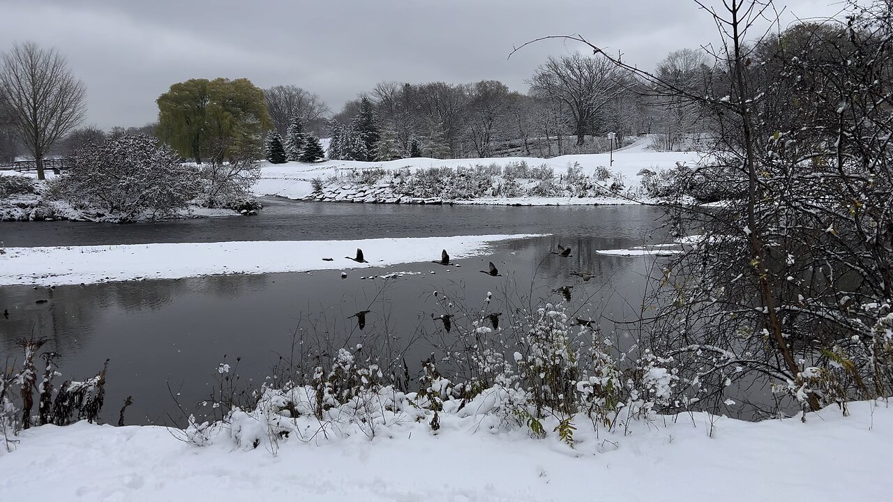 More snowy tundra views James Gardens Toronto Humber River Lambton's Golf course