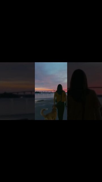 Just a Dog walk in the City