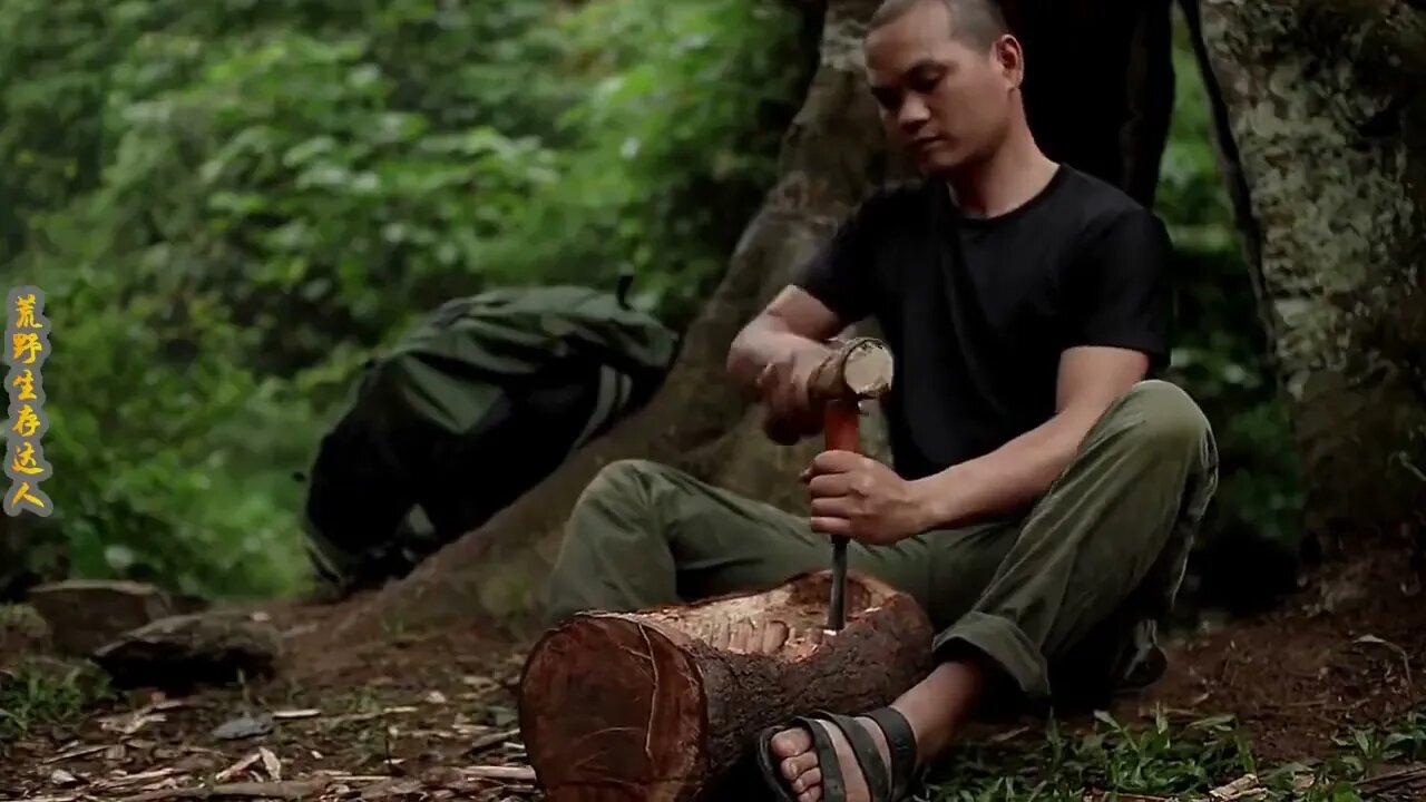 Man lives in the rain forest all year round and uses natural tree holes as shelter/Episode21
