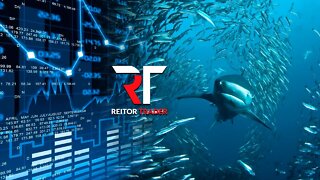 REITOR TRADER LIVE