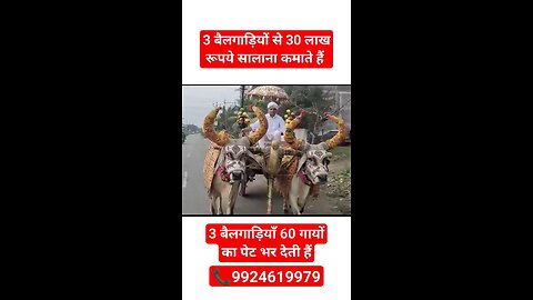 Bullock Cart