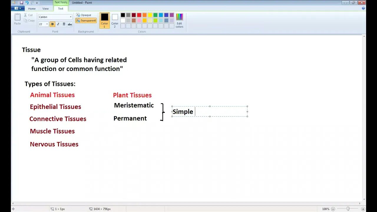 Biology 9th Introduction to Tissues
