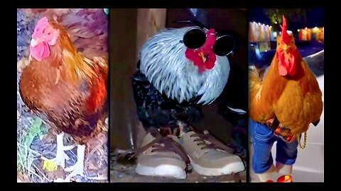 Victor Hugo Rooster Woodrow Wilson Sold USA JP Morgan Baron Rothschild Jacob Schiff John Rockefeller