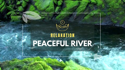 Relax and Unwind with the Soothing Sounds of a River - Aquatic Meditation