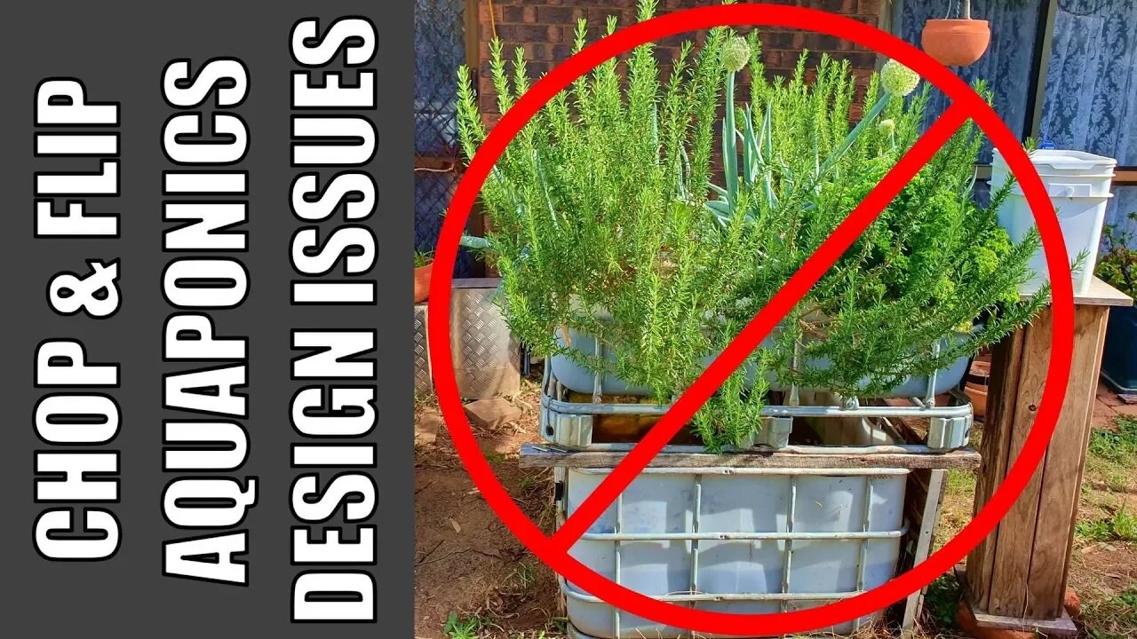 Aquaponics System | Chop & Flip Design Mistakes