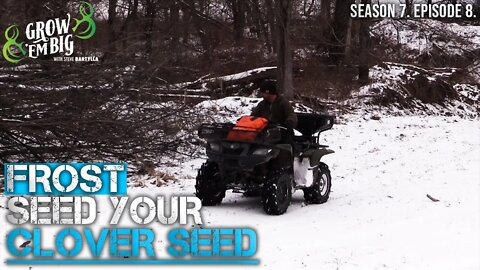 How to Frost Seed Clover for Cheap, Thriving Food Plots