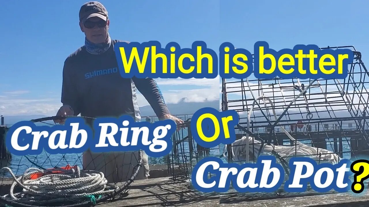 Which is better Crab Ring Or Crab Pot?