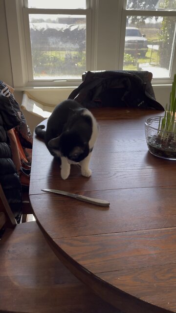 Don’t mess with me