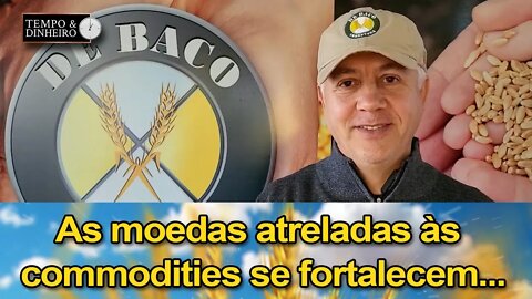 As moedas atreladas às commodities se fortalecem...