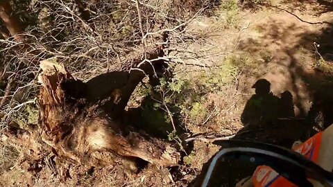 More epic singletrack through the woods of Colorado!