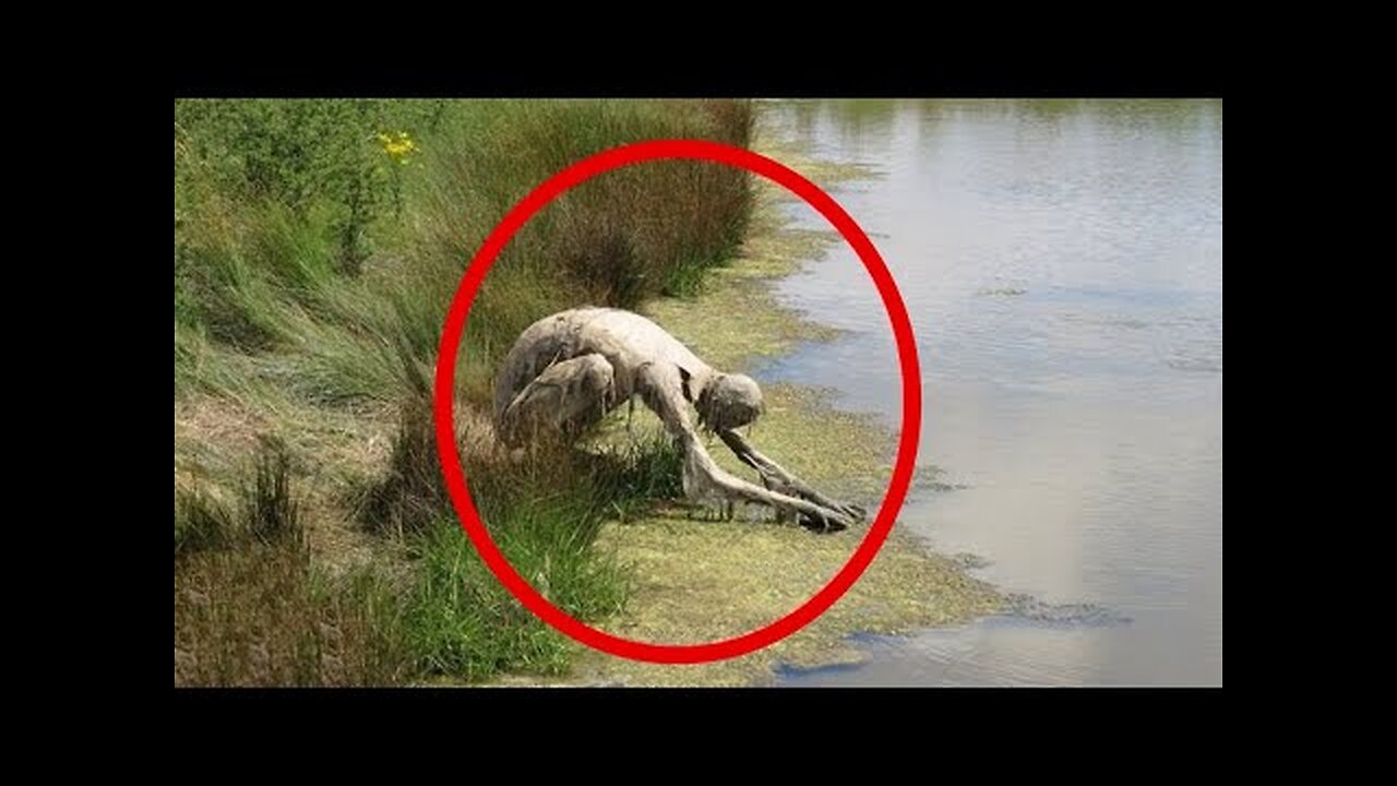 30 Scary Videos Leaving Skeptics Speechless