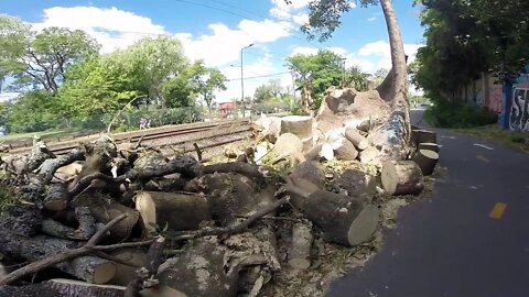 Gopro: Caminata relajante por la tarde.