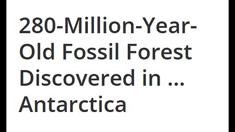 FOSSILS FROM ANTARCTICA FOREST 280 MIL YRS AGO FOUND 