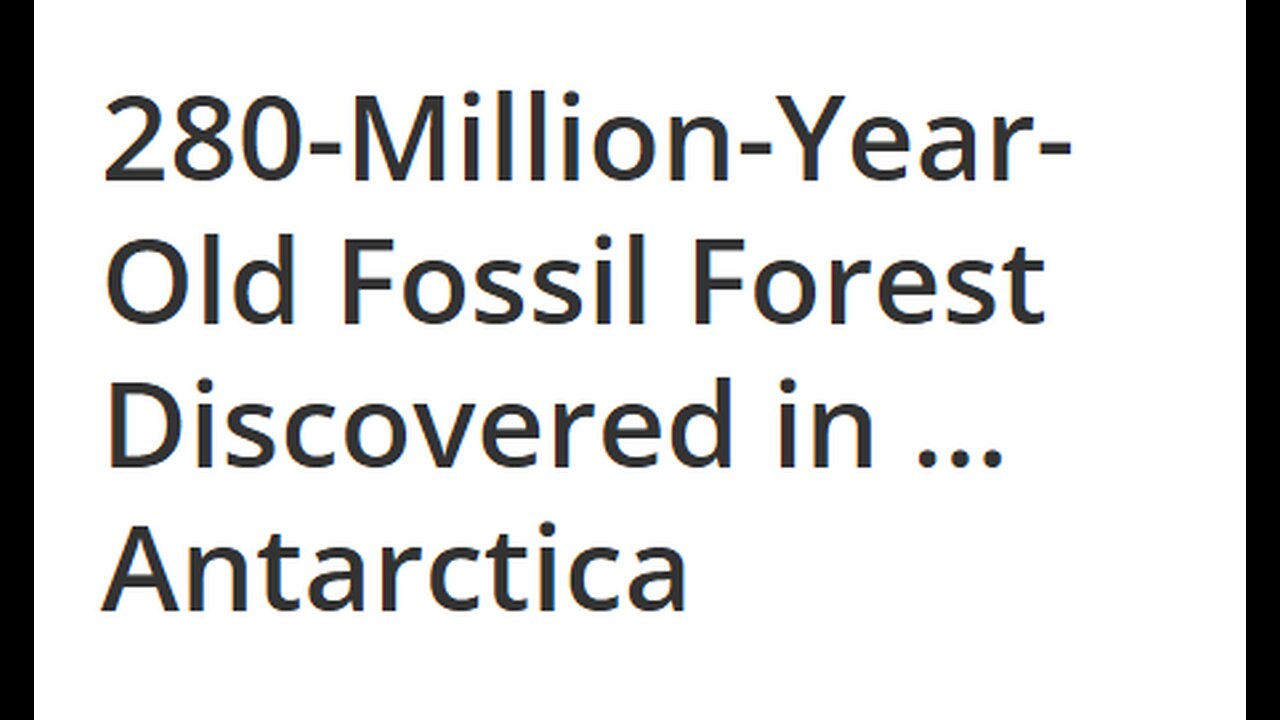 FOSSILS FROM ANTARCTICA FOREST 280 MIL YRS AGO FOUND