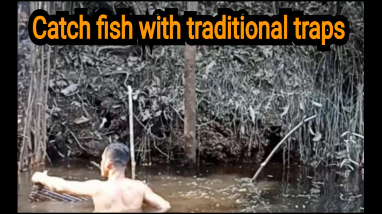 Catch fish with traditional traps