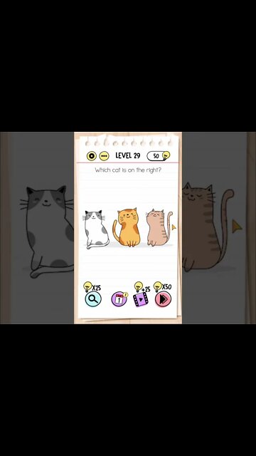 Brain Test Tricky Puzzles Level 29 Which cat is on the right?