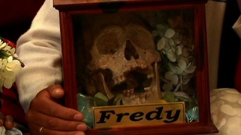 Day of the Skulls