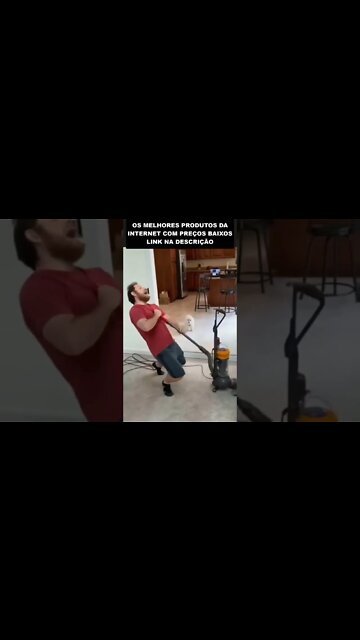 escolha o cachorro certo da próxima vez