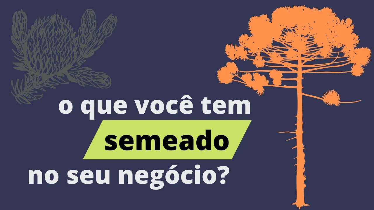 O que você tem semeado em seu negócio e em sua vida? v01 - desafio 30 vídeos