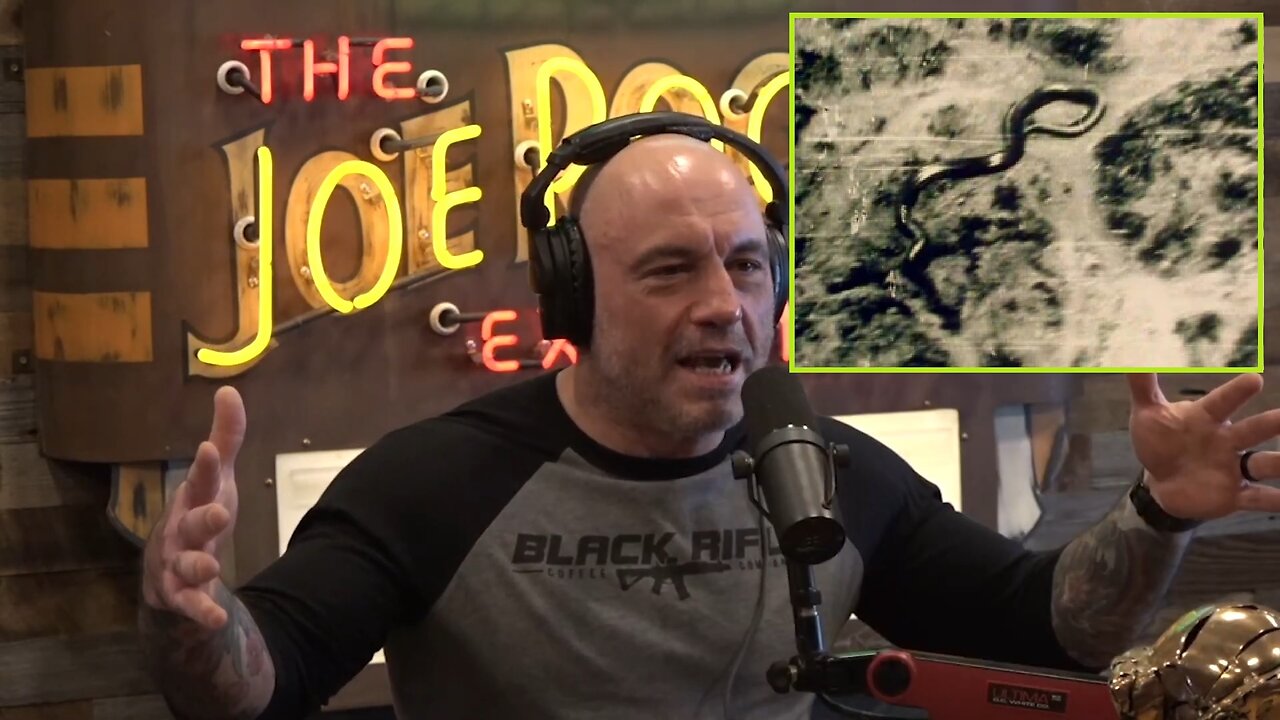Joe Rogan & Forrest Galante - The Myth of Giant Anaconda's in the Amazon