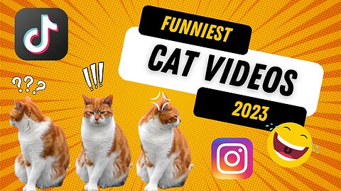 Funny Viral Animal Video Compilation TikTok and Instagram Shorts