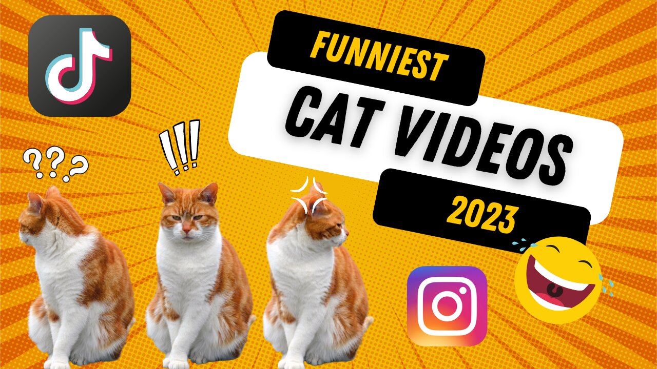 Funny Viral Animal Video Compilation TikTok and Instagram Shorts