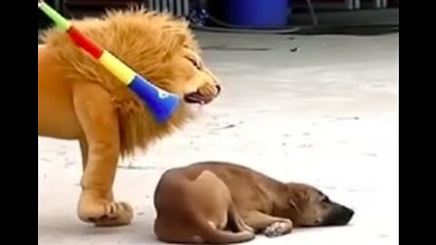 Wild Animal Prank: Dog Takes on Fake Tiger and Lion!