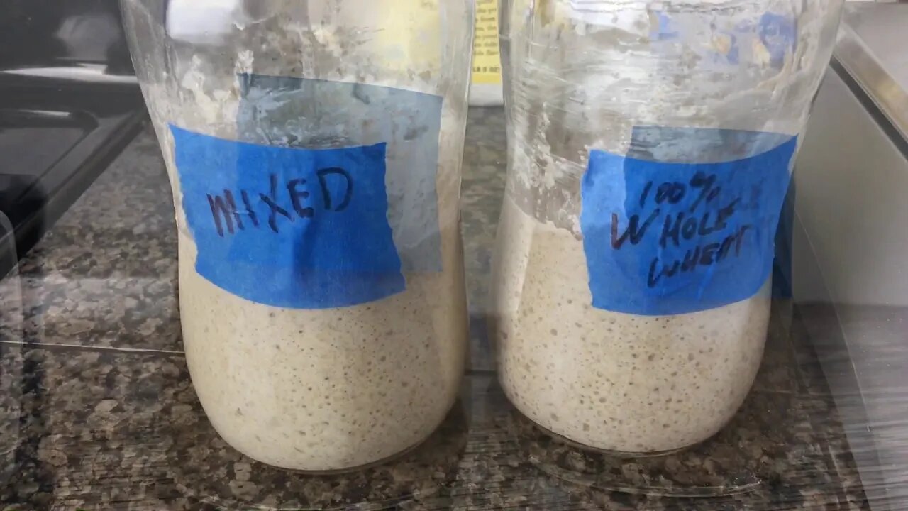 Saturday Projects™.com | Sourdough Starter - 5 - Almost wanted to use it to make bread today