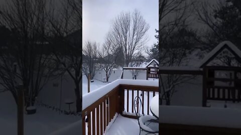 Beautiful snow day in Colorado