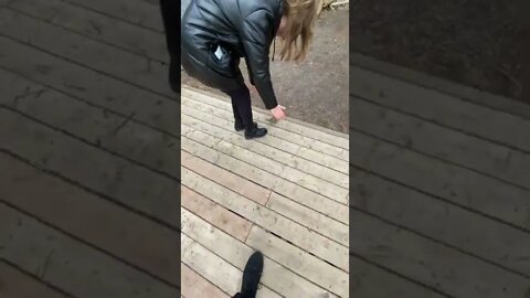 Atatck of the Squirrels!