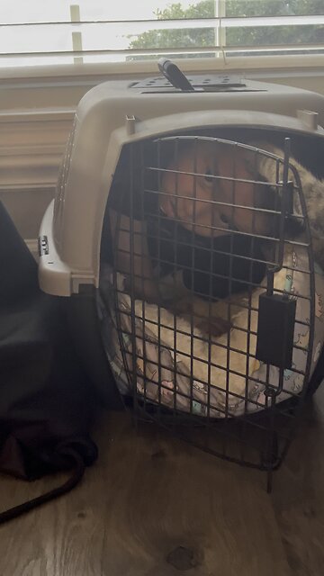 How do you like it???