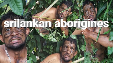 srilankan aborigines👏👏👏👏👏👍😆😆