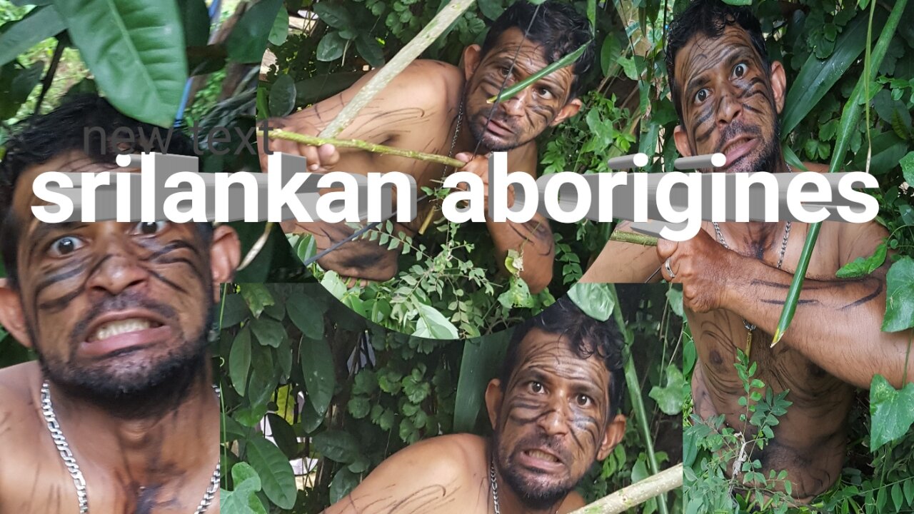 srilankan aboriginesππππππππ