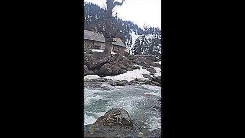 Snow view