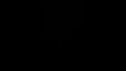 Great American president