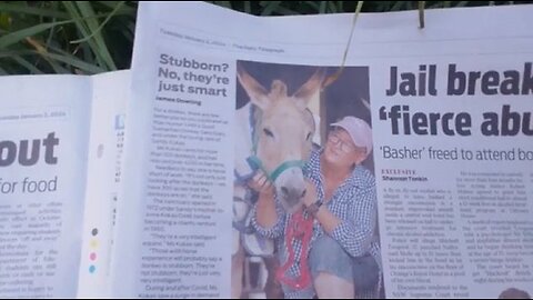 Hunters Hill land claim is part of a sneaky game of donkey comms