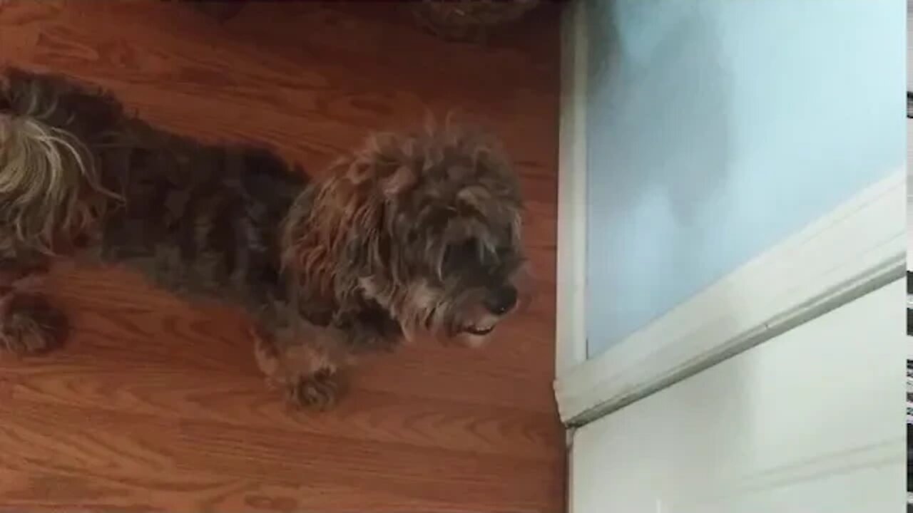 Body Blocking