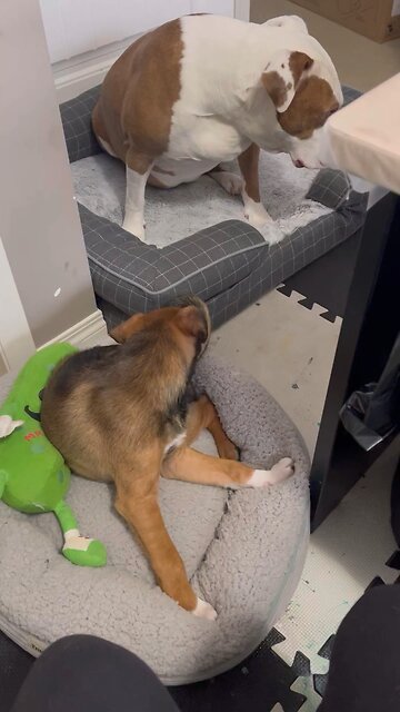 Art Studio Supervisors