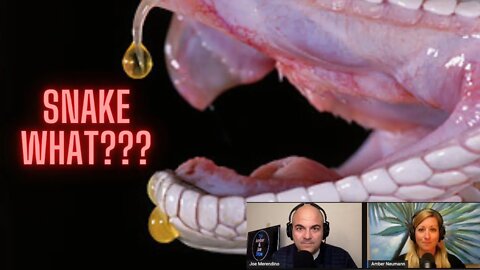 Episode 56: Snake Venom, Inflation and Hurt Feelings At Twitter