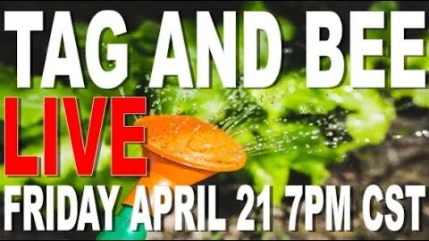 - Life Done Free- Tag and Bee Live.
