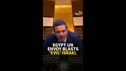EGYPT UN ENVOY BLASTS 'EVIL' ISRAEL