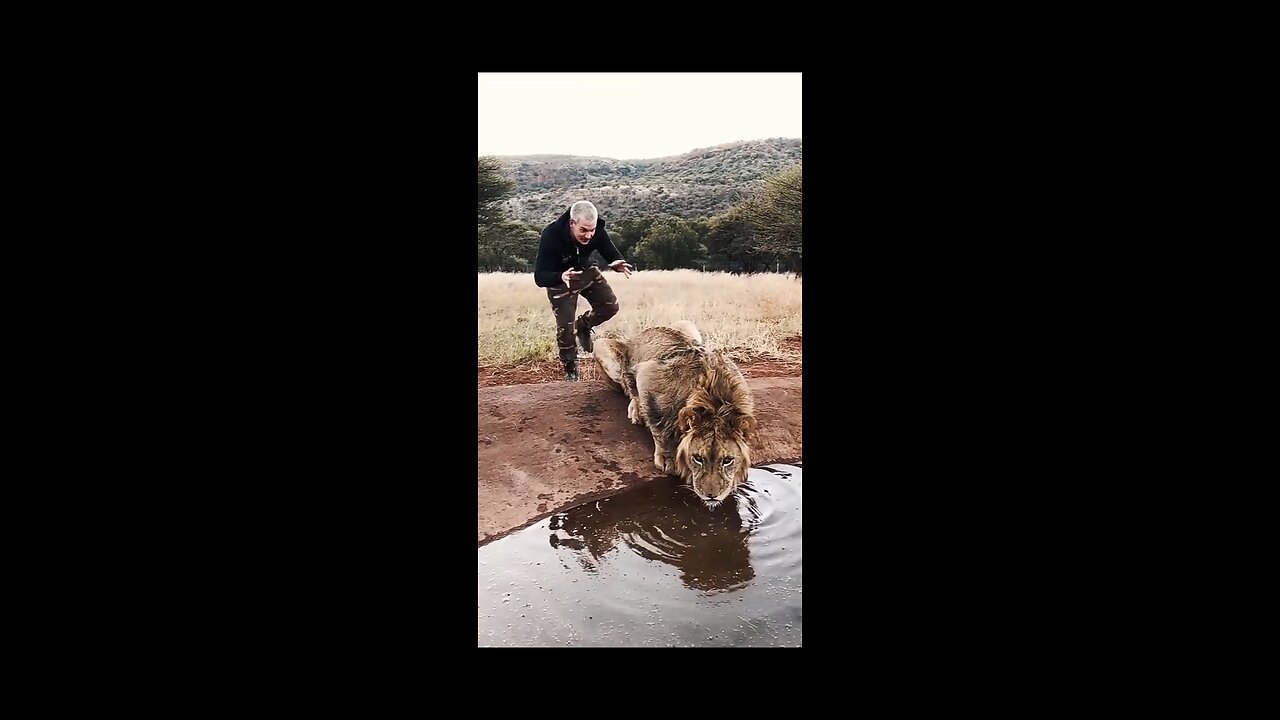 Prank with lion goes Funny 😂😂 #funny #viral