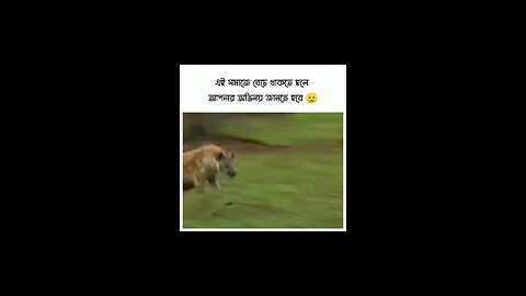 অভিনয়..☺️😥😭এটাই আসল..