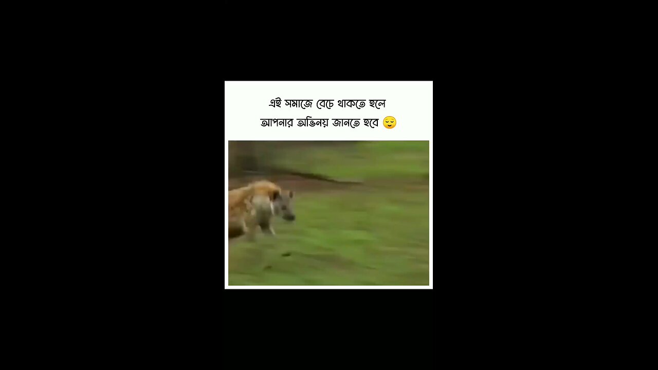 অভিনয়..☺️😥😭এটাই আসল..
