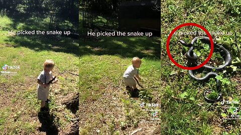 Father Saves Son From Snake