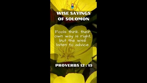 Proverbs 12:15 | Wise Sayings of Solomon