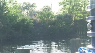 cape coral canal