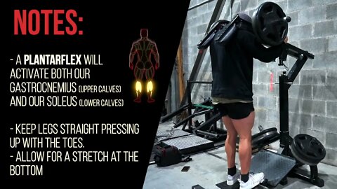 Standing Calf Raise
